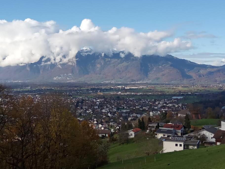 Wohnung Rheintal Im Alpenvorland Batschuns ภายนอก รูปภาพ