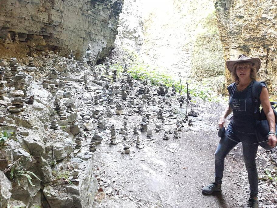 Wohnung Rheintal Im Alpenvorland Batschuns ภายนอก รูปภาพ