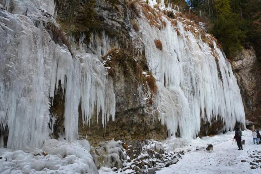 Wohnung Rheintal Im Alpenvorland Batschuns ภายนอก รูปภาพ