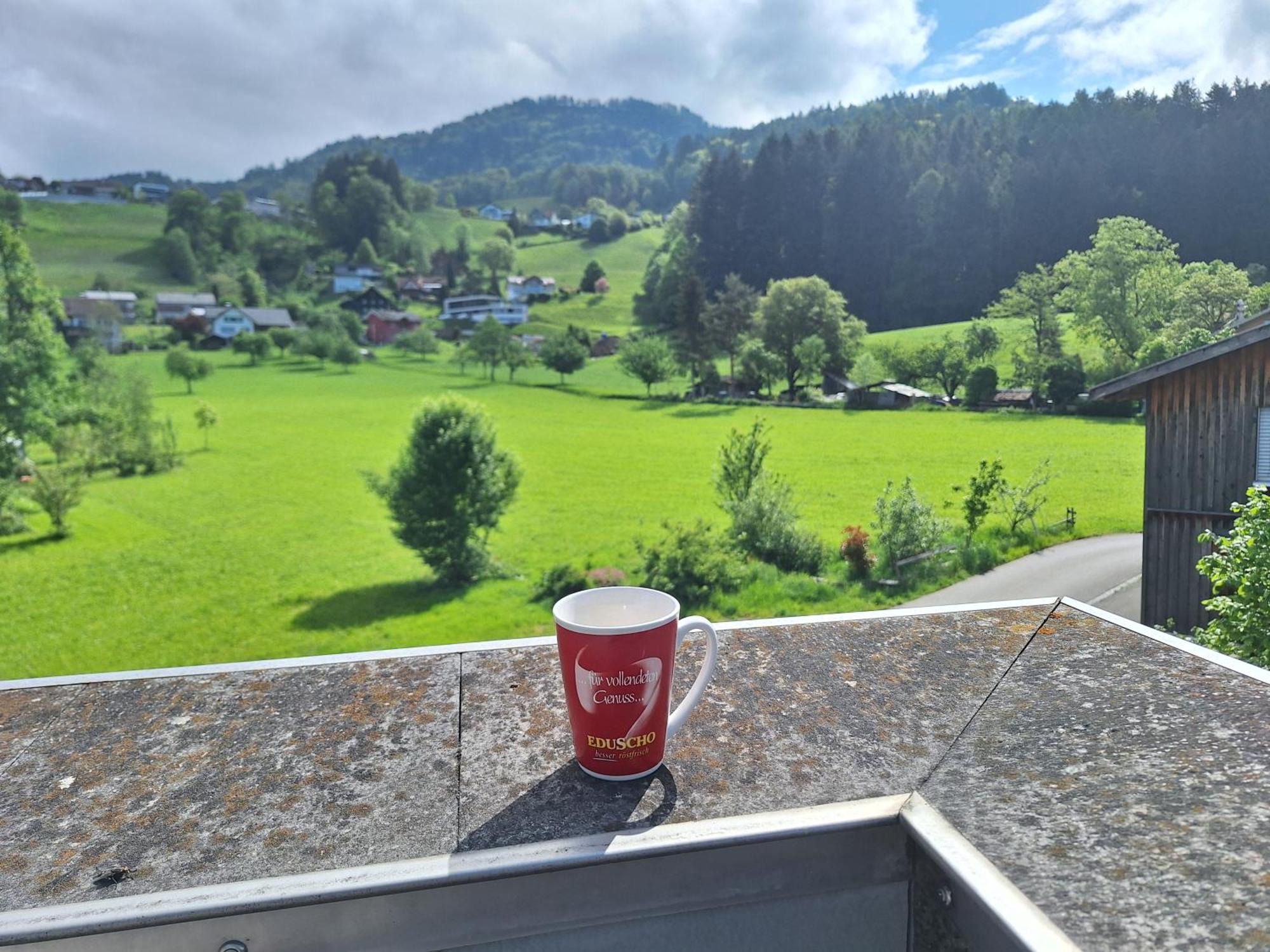 Wohnung Rheintal Im Alpenvorland Batschuns ภายนอก รูปภาพ