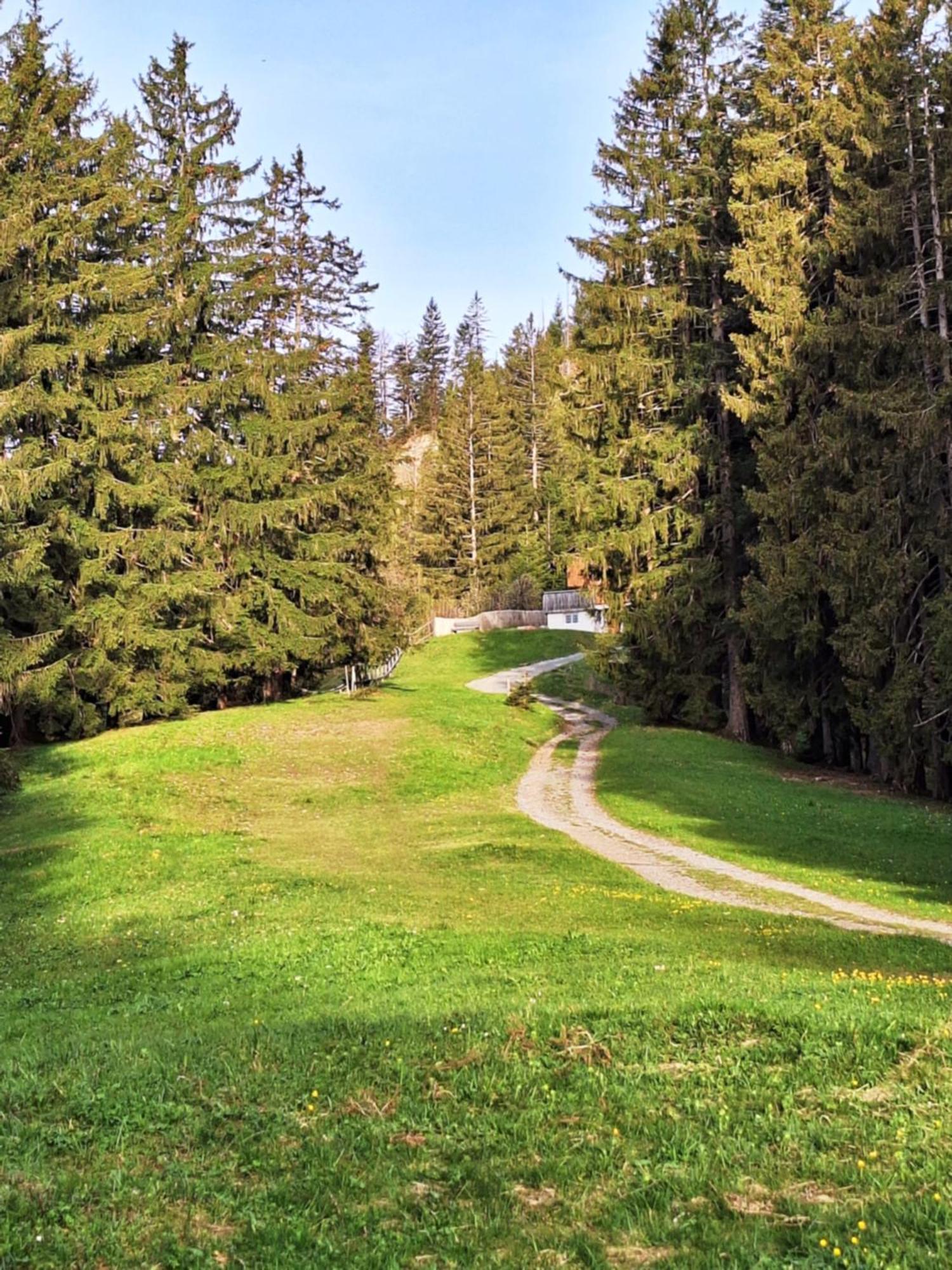 Wohnung Rheintal Im Alpenvorland Batschuns ภายนอก รูปภาพ