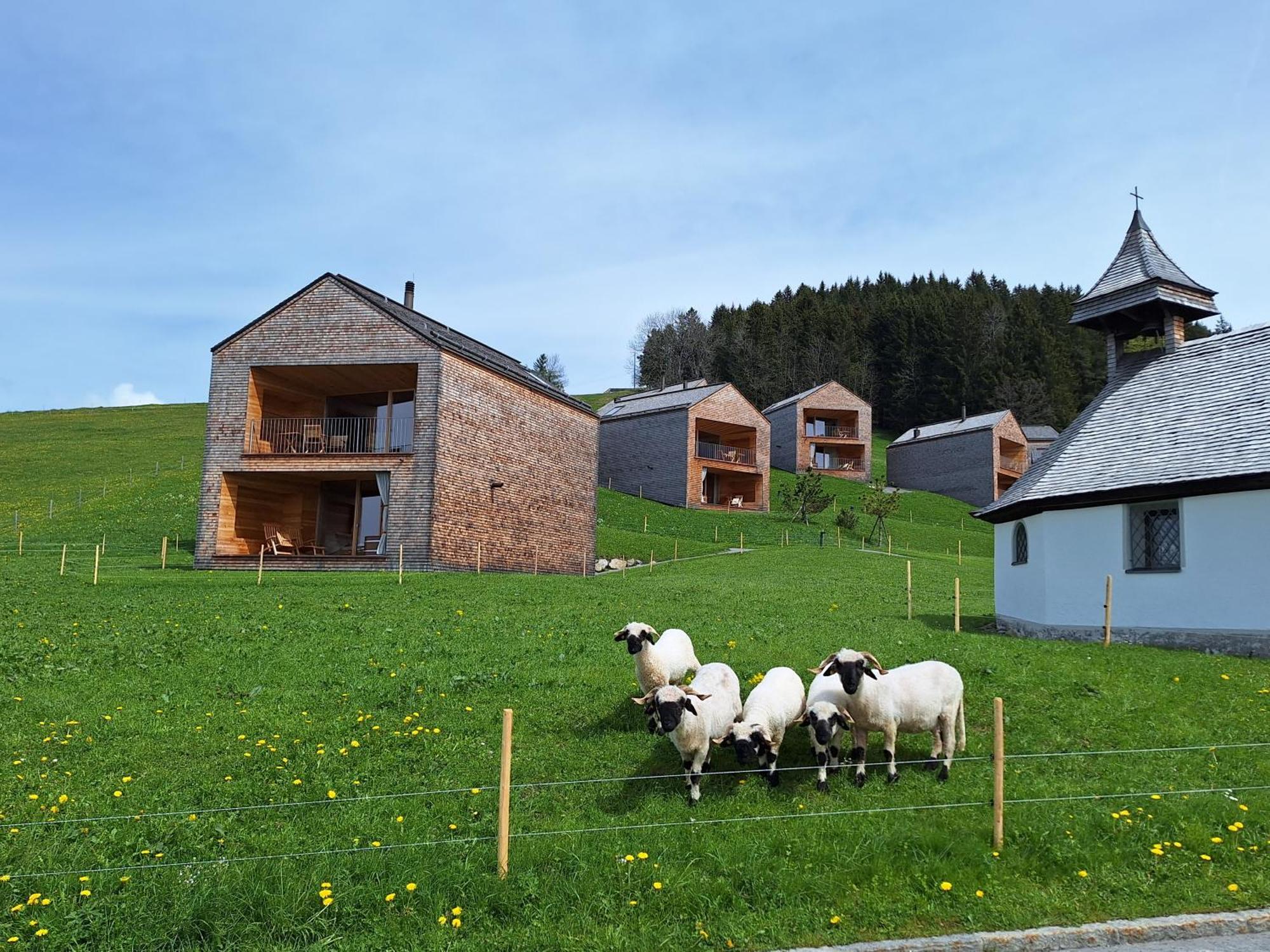 Wohnung Rheintal Im Alpenvorland Batschuns ภายนอก รูปภาพ