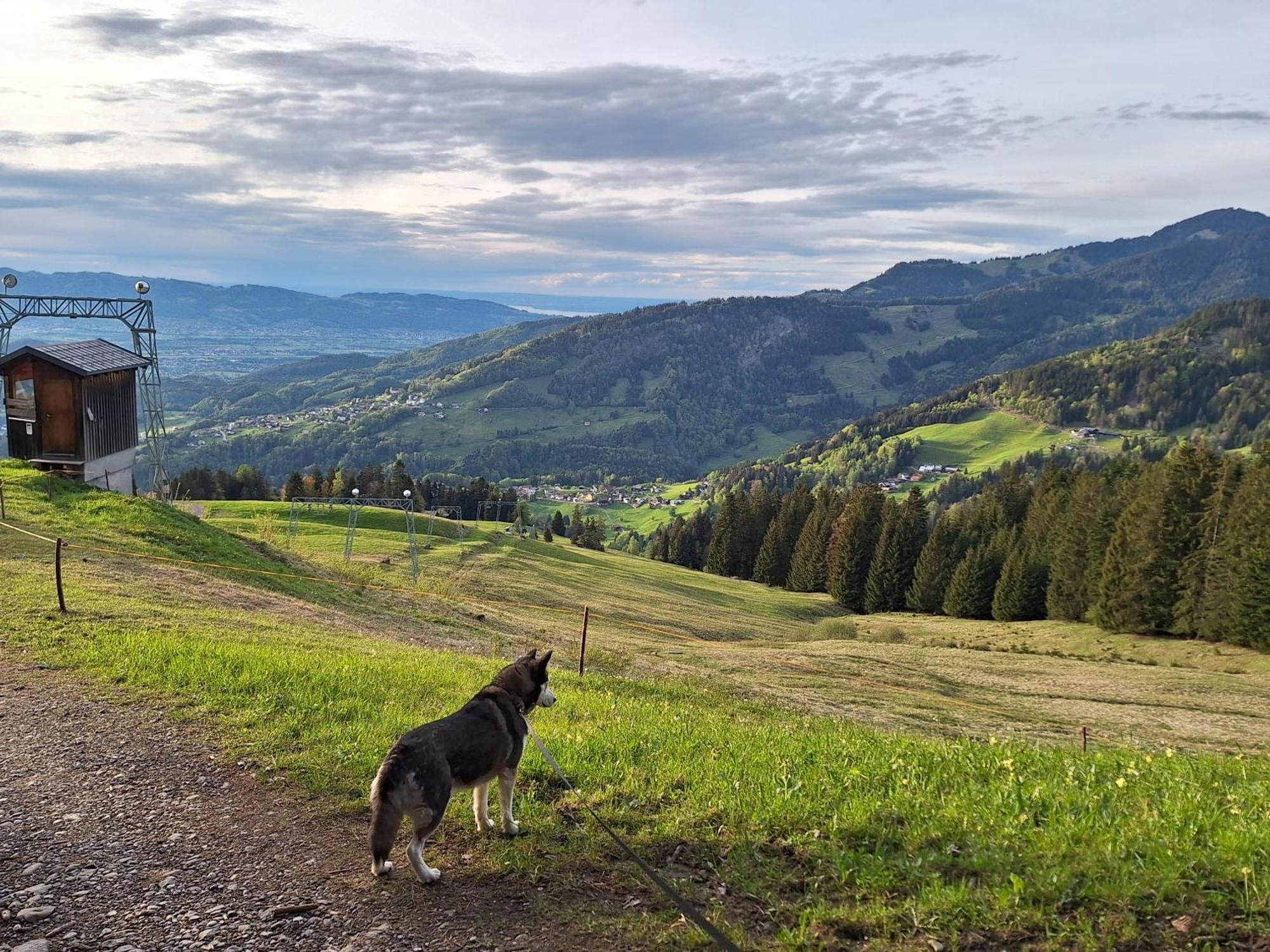 Wohnung Rheintal Im Alpenvorland Batschuns ภายนอก รูปภาพ